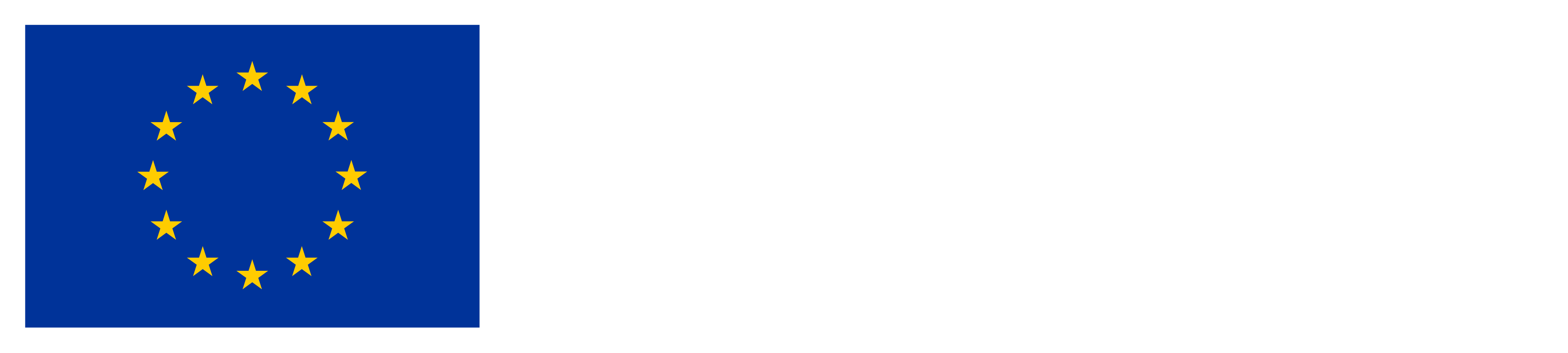 Financé par l'Union européenne